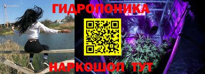 молекула духа Рязань